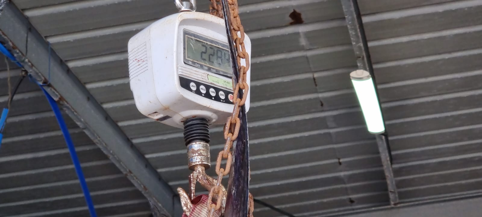 WhatsApp Image 2022-05-25 at 4.38.53 PM.jpeg